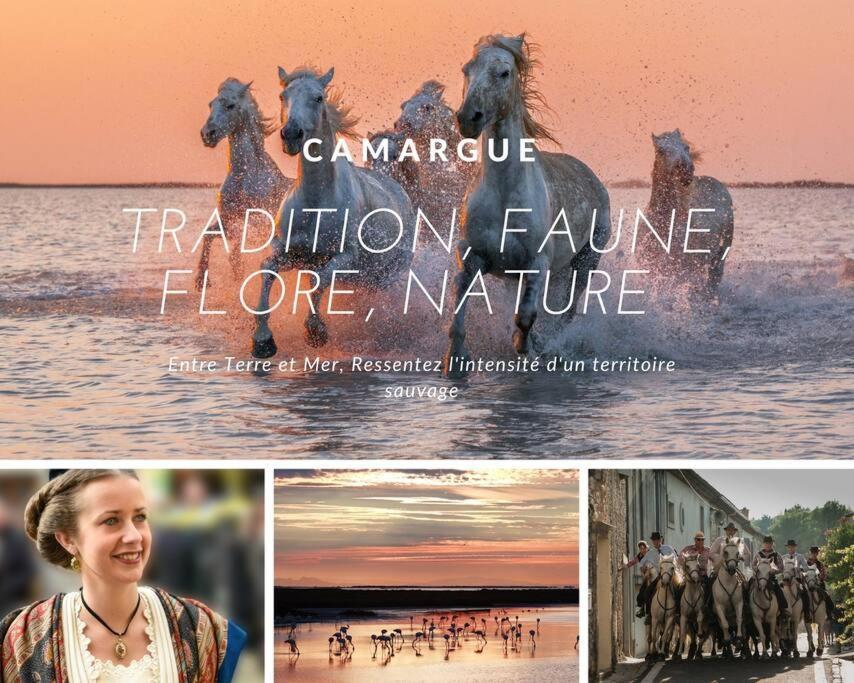 Le Jamaique * Clim * Terrasse * Plage A 10 Min 拉格朗德默特 外观 照片
